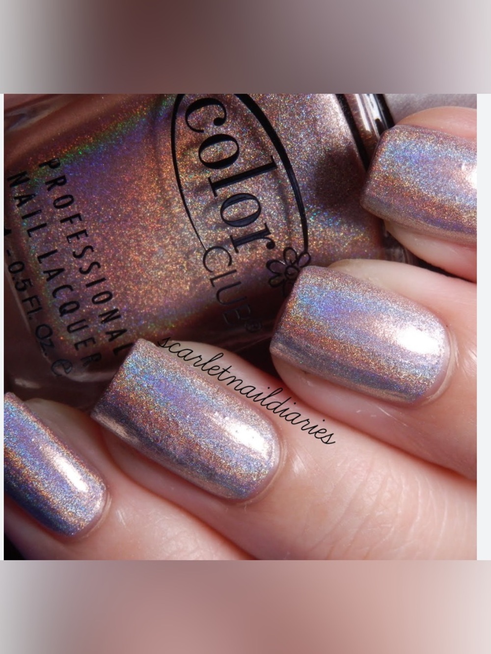 Color Club-Cherubic